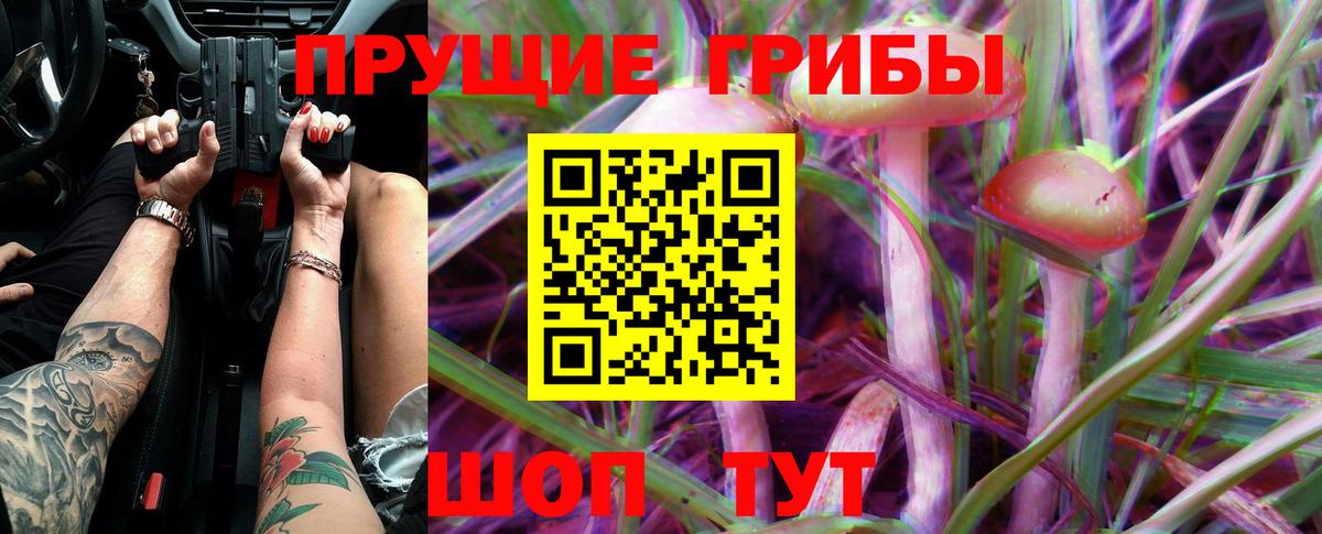 Псилоцибиновые грибы мицелий  Вход с VPN  Псилоцибиновые грибы мицелий  Астрахань 