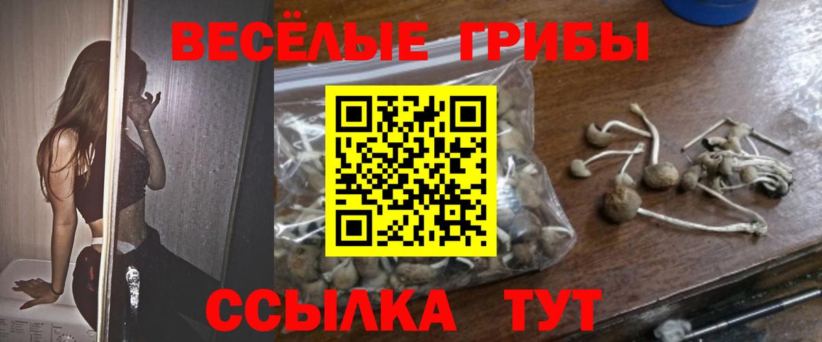 МЕФ Астрахань